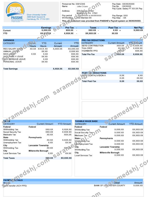 USA DIXON University center paystub in Word and PDF formats